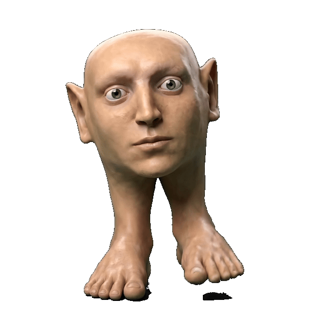 Feet Dude